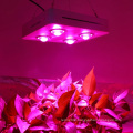 Best Cob LED Grow Light 400W